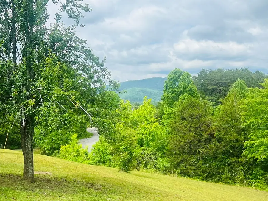 105 Lola Drive, Farner, TN 37333 - #2
