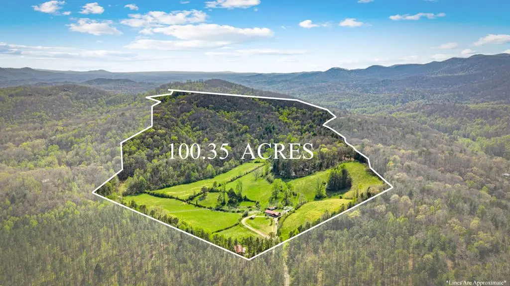 384 Maxwell Road, Blue Ridge, GA 30513 - #1