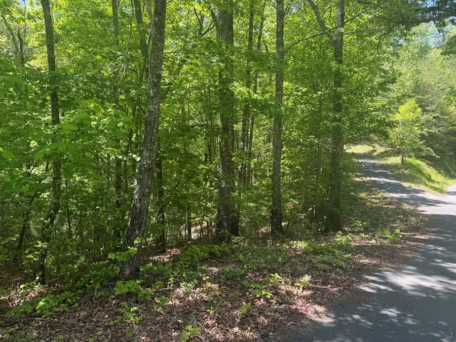 0 Hidden Lane, Murphy, NC 28906 - #2