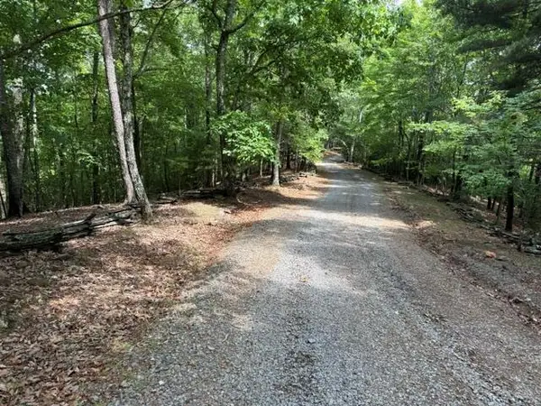 28.4 AC Black Dog Trail, Blue Ridge, GA 30513