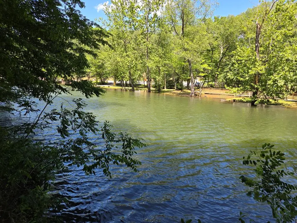 Lot 4 Ch Colwell Drive, Blairsville, GA 30512 - #1