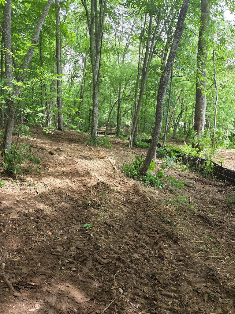 Lot 4 Ch Colwell Drive, Blairsville, GA 30512 - #3