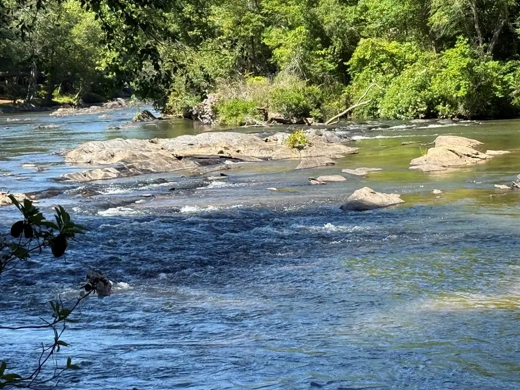0 Limber Lost Trail, Cleveland, GA 30528 - #1