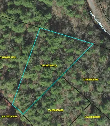 TBD Spectacular, Hayesville, NC 28904 - #1
