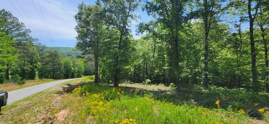 LT 90 Barrell Knot Court, Ellijay, GA 30536 - #1