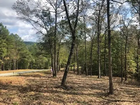 LT 90 Barrell Knot Court, Ellijay, GA 30536 - #2