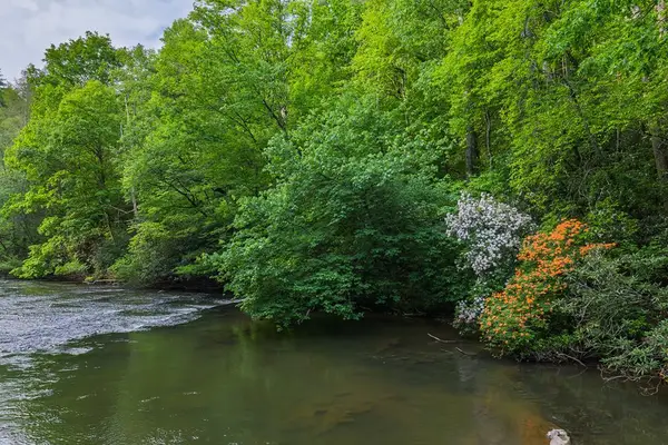 Lot 171 Shenendoa Drive, Ellijay, GA 30540
