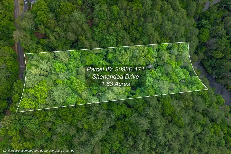 Lot 171 Shenendoa Drive, Ellijay, GA 30540 - #3