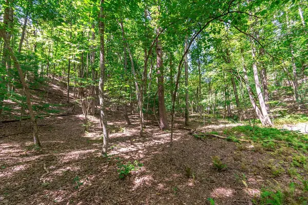 Lot 22 Meadow Brook Trail, Morganton, GA 30560