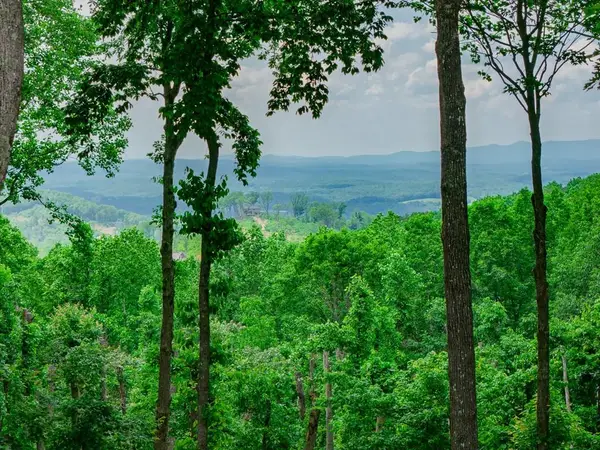Lot 411 Calloway Mountain Road, Talking Rock, GA 30175