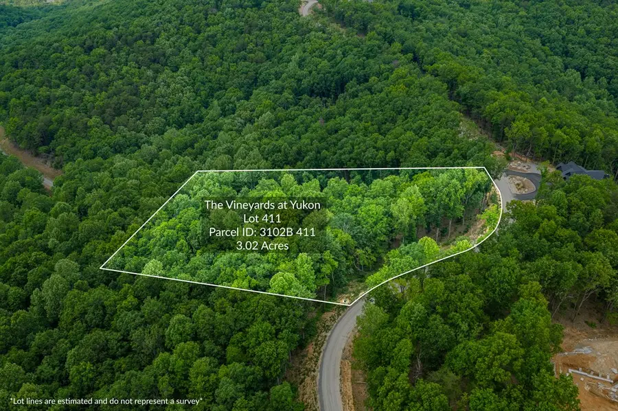 Lot 411 Calloway Mountain Road, Talking Rock, GA 30175 - #3