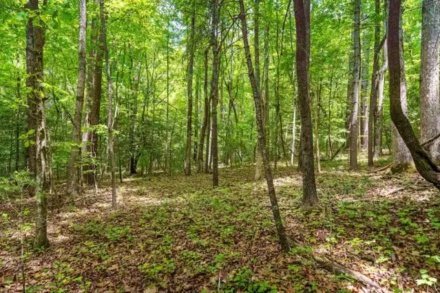 LOT 32 Oceola Drive, Ellijay, GA 30540 - #2