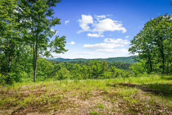 Lt 379 Dream Catcher, Blue Ridge, GA 30513
