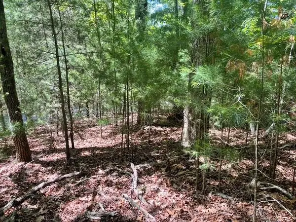 Lot 2 Mount Pleasant Ridge Road, Blairsville, GA 30512