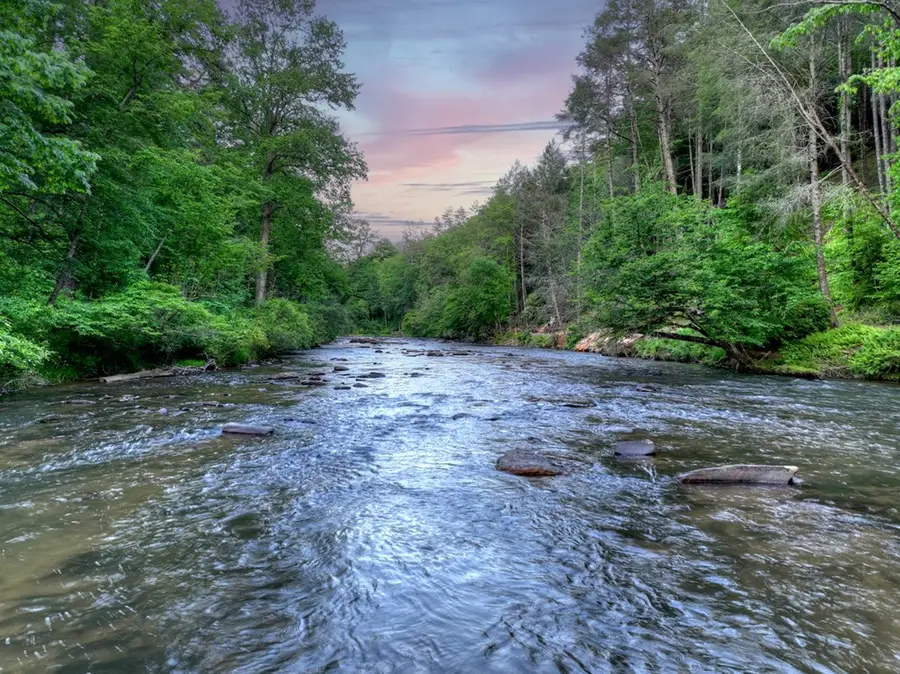 550 Hillsdale Drive, Ellijay, GA 30540 - #2