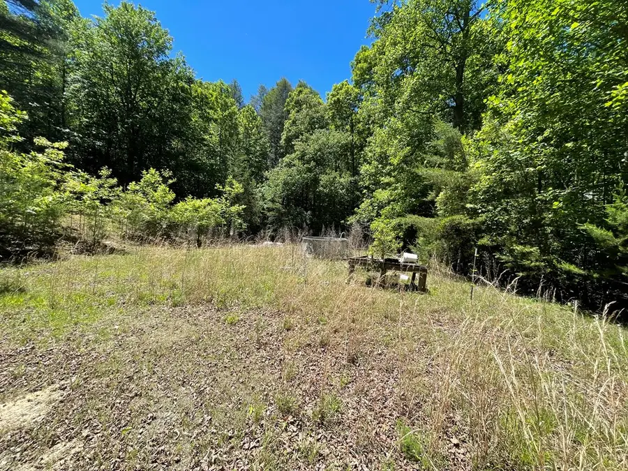 104 Saltaire Drive, Blairsville, GA 30512 - #3