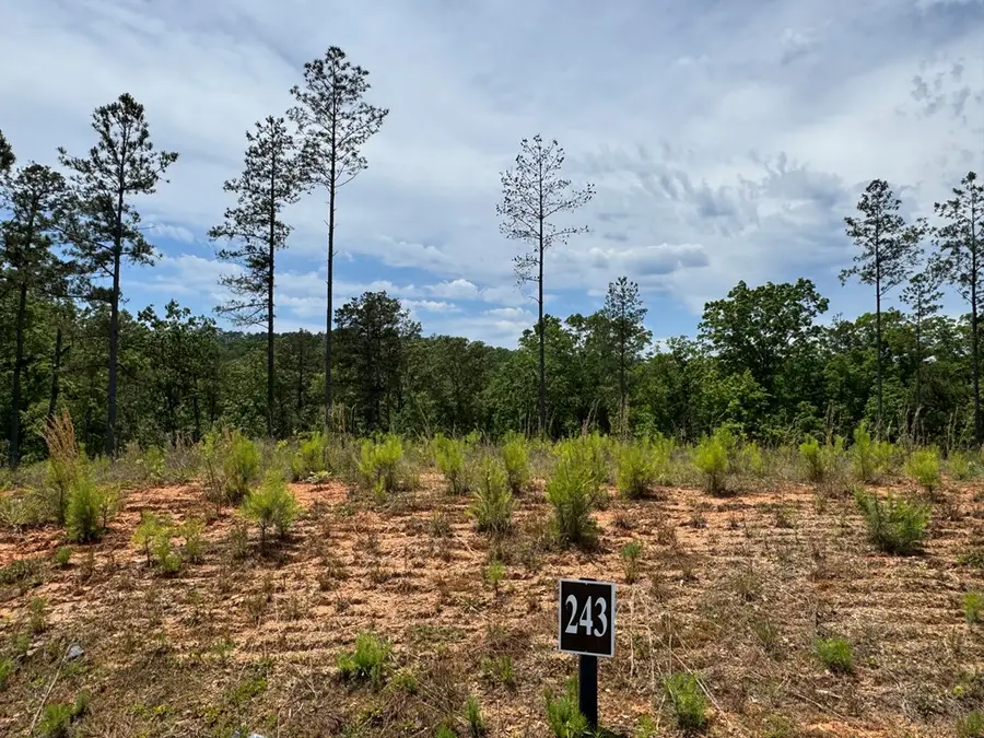 Lot 243 Spear Point Dr, Talking Rock, GA 30175 - #2