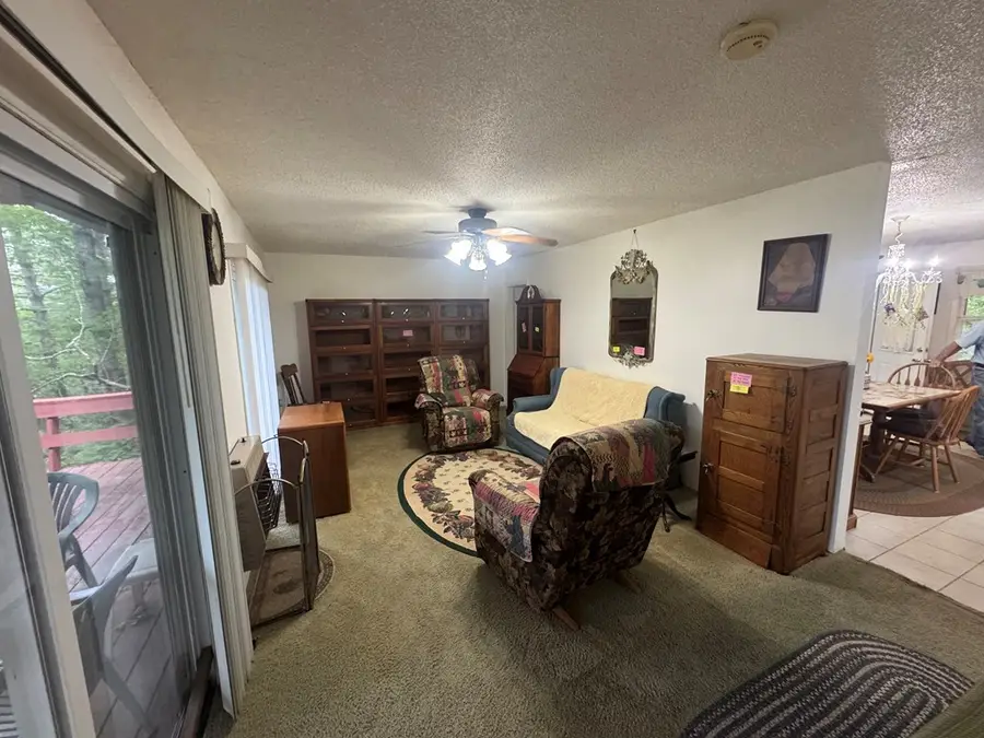 210 Holly Ridge Lane, Murphy, NC 28906 - #3