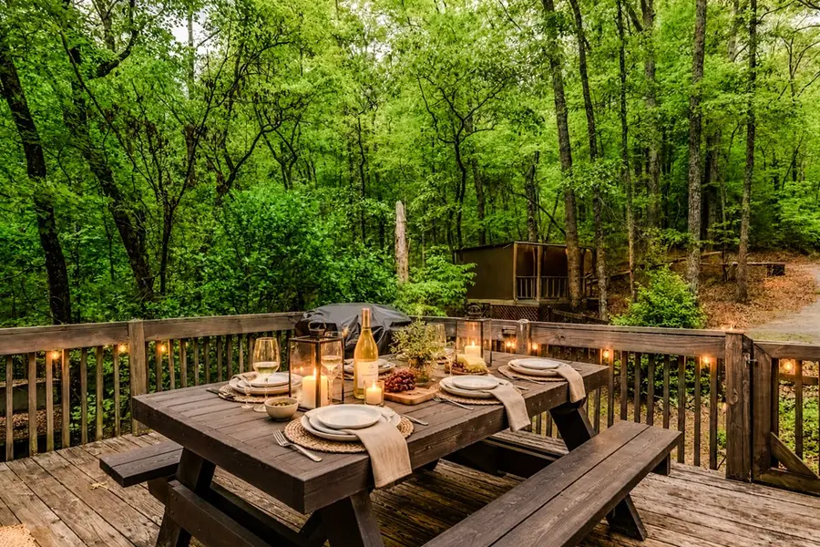 317 North Pine Road, Ellijay, GA 30536 - #3