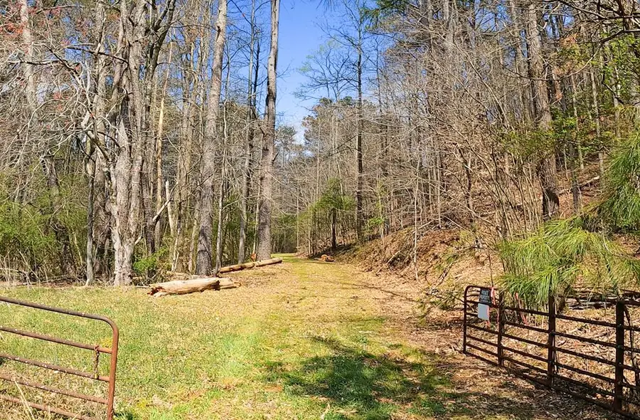 54 AC Legion Road, Ellijay, GA 30540 - #2