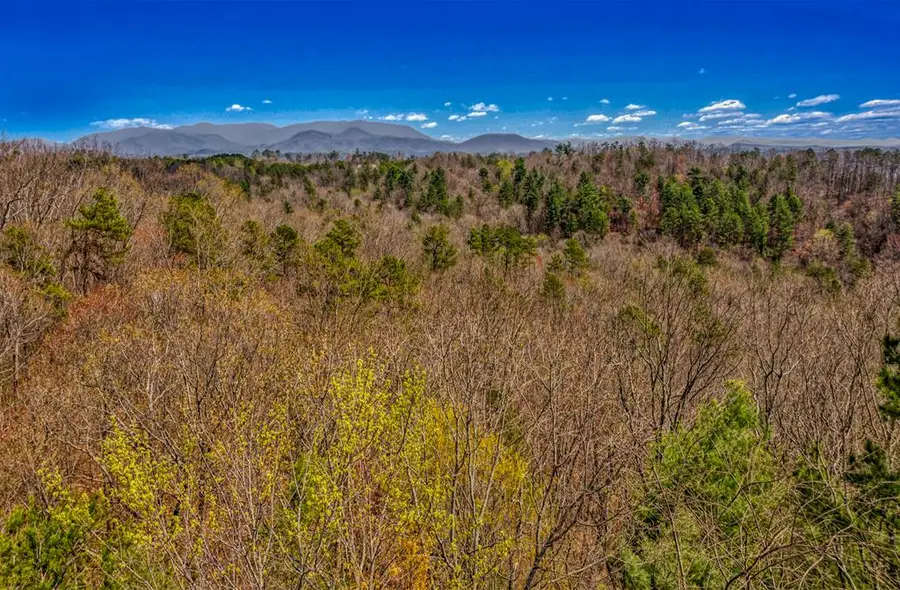 54 AC Legion Road, Ellijay, GA 30540 - #3