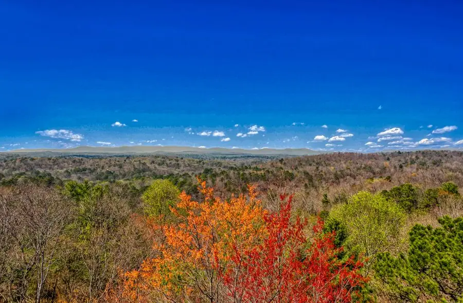 83 AC Legion Road, Ellijay, GA 30540 - #2