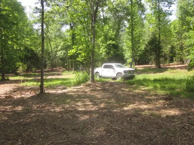 0000 W Hwy 136, Talking Rock, GA 30175 - #1