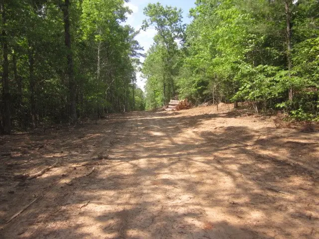 0000 W Hwy 136, Talking Rock, GA 30175 - #3