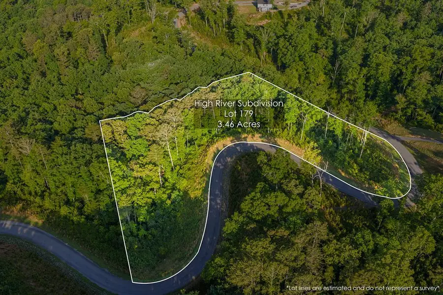 Lot 179 Canoe Point, Ellijay, GA 30540 - #2