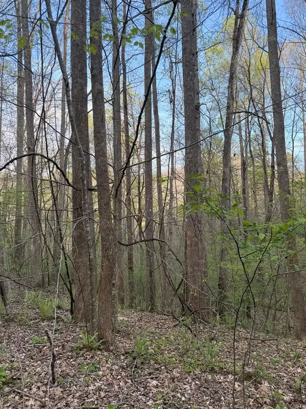 Lot 2 Anns Lane, Hayesville, NC 28904