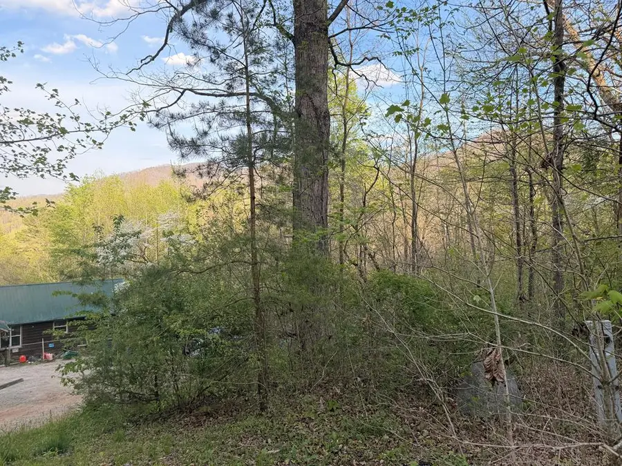 Lot 2 Anns Lane, Hayesville, NC 28904 - #2