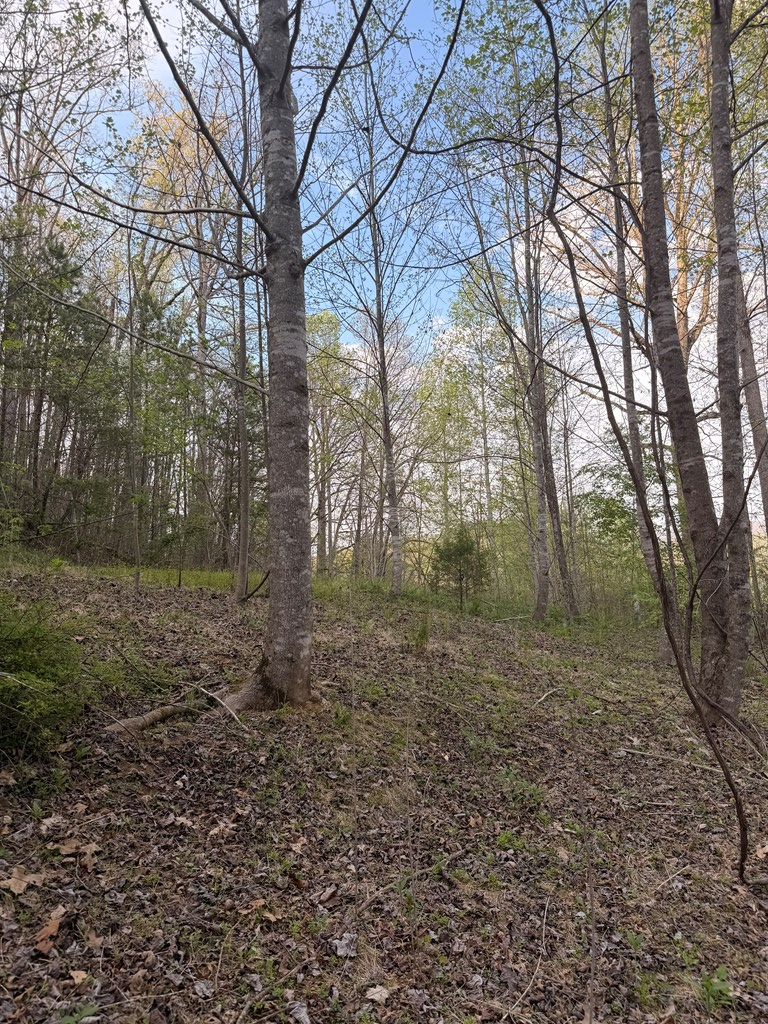 Lot 2 Anns Lane, Hayesville, NC 28904 - #3