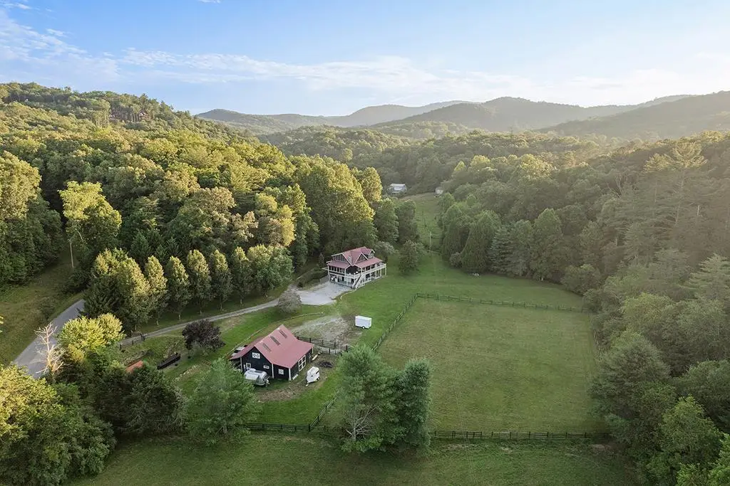 328 Black Ankle Creek Road, Cherry Log, GA 30522 - #1