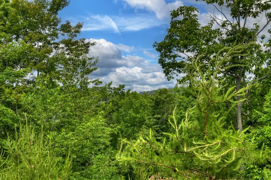 1178 Green Ridge Road, Blue Ridge, GA 30513 - #2