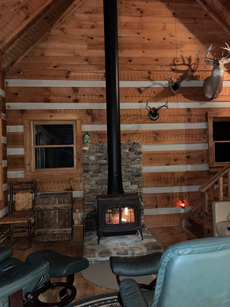 180 Dream Catcher Cove, Hayesville, NC 28904 - #2