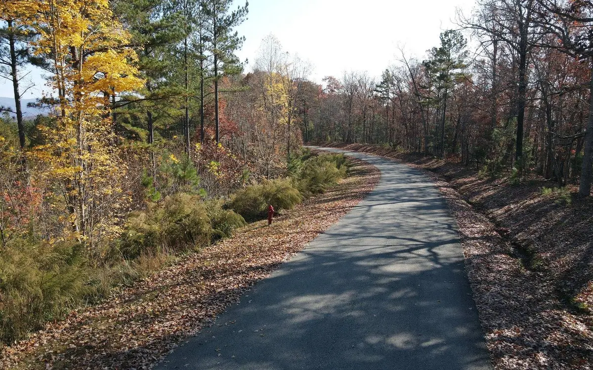 60 Thirteen Hundred, Blairsville, GA 30512 - #1