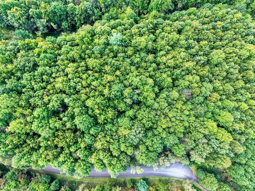 Lot 32 Westside Drive, Blairsville, GA 30512 - #1