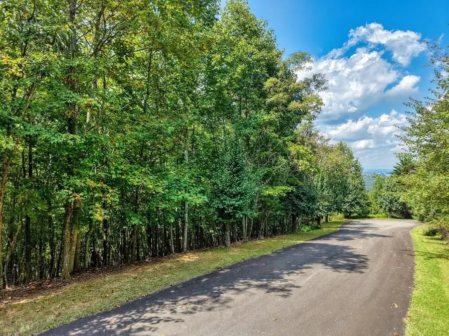 Lot 32 Westside Drive, Blairsville, GA 30512 - #2