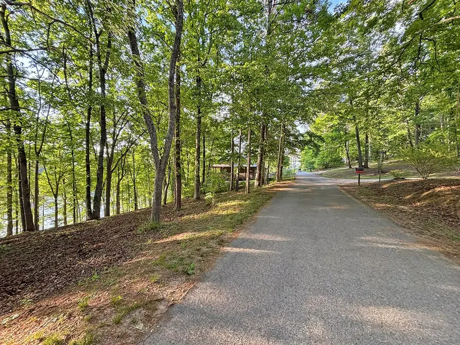 Lot 5 Walnut Drive, Blairsville, GA 30512 - #3