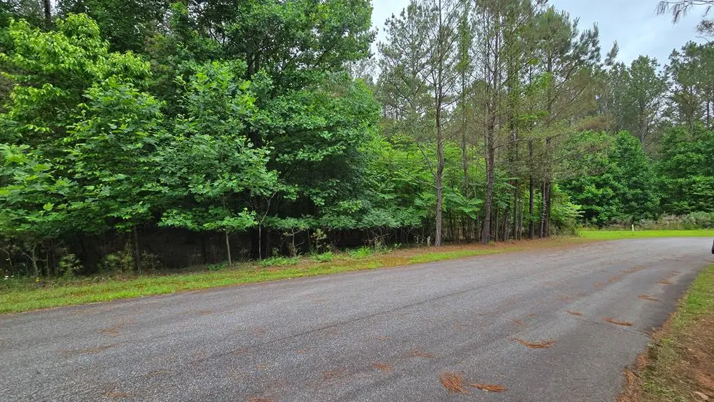 Lot 42 Loftis Mountain Way, Blairsville, GA 30512 - #1