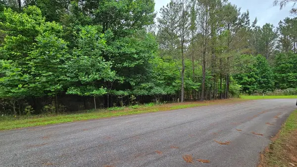 Lot 42 Loftis Mountain Way, Blairsville, GA 30512