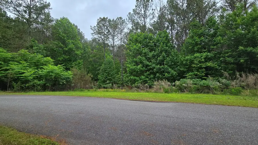 Lot 43 Loftis Mountain Way, Blairsville, GA 30512 - #3