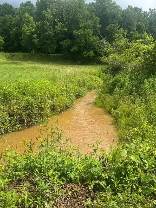 00 Tails Creek Road, Ellijay, GA 30540