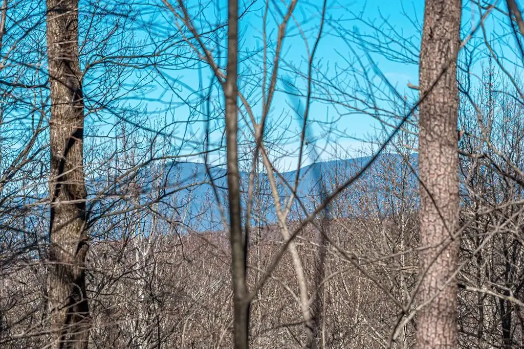 Lot 136 St Andrews Way, Ellijay, GA 30536 - #1
