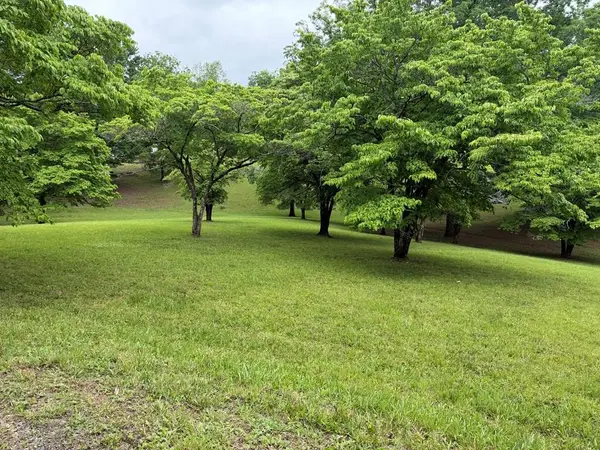 Lot 4 Drake Ridge Drive, Hayesville, NC 28904