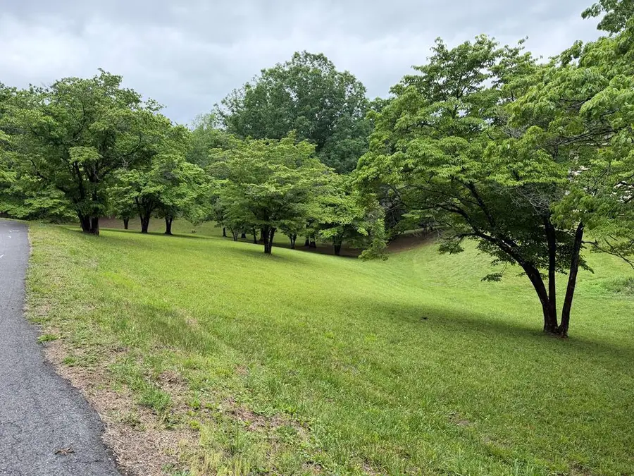 Lot 4 Drake Ridge Drive, Hayesville, NC 28904 - #2