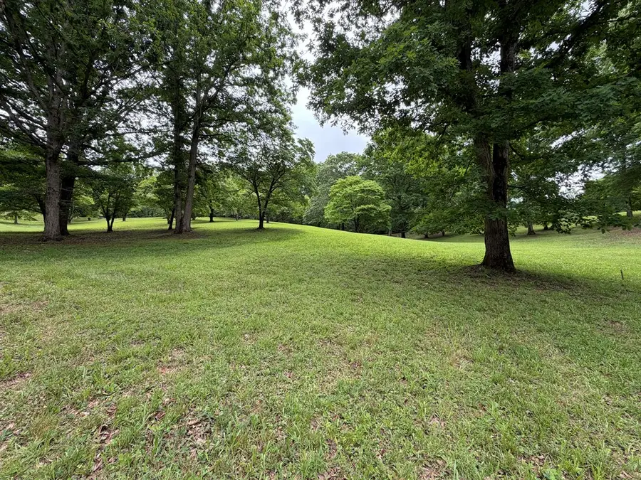 Lot 4 Drake Ridge Drive, Hayesville, NC 28904 - #3