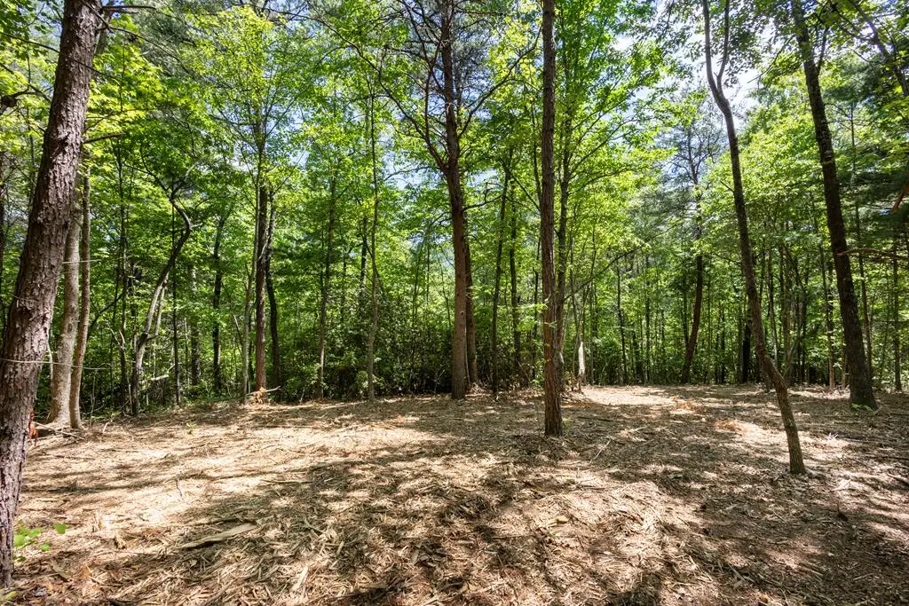 4.0 acre Donley Road, Murphy, NC 28906 - #1