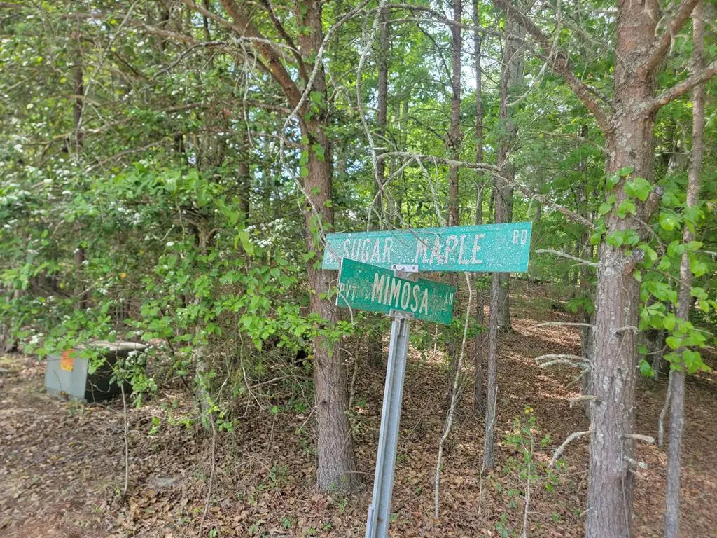 Lot 44 Sugar Maple Lane, Murphy, NC 28906 - #1