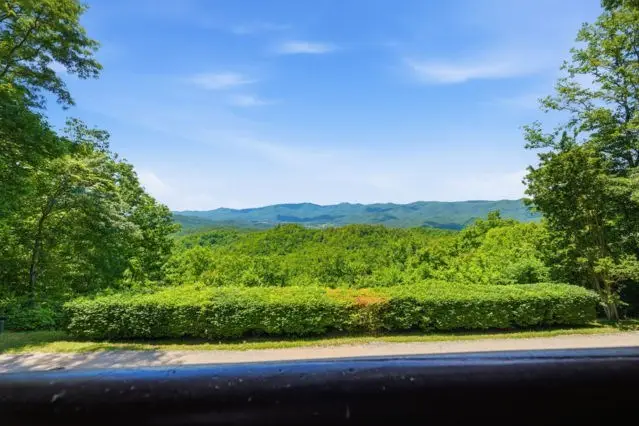1440 Valley View Heights Lane, Andrews, NC 28901 - #3